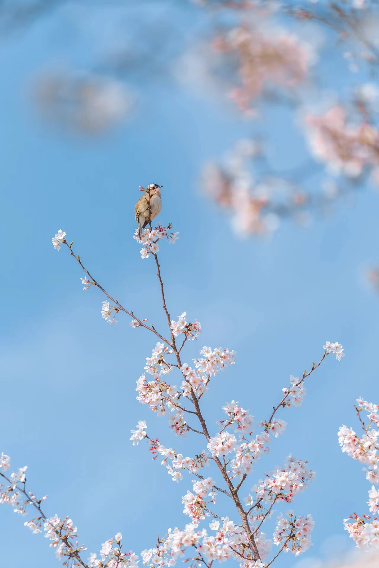 提前十分鐘，人生大不同